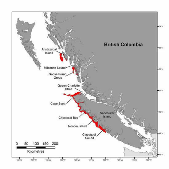 range of sea otters in british columbia (red shaded area) as of